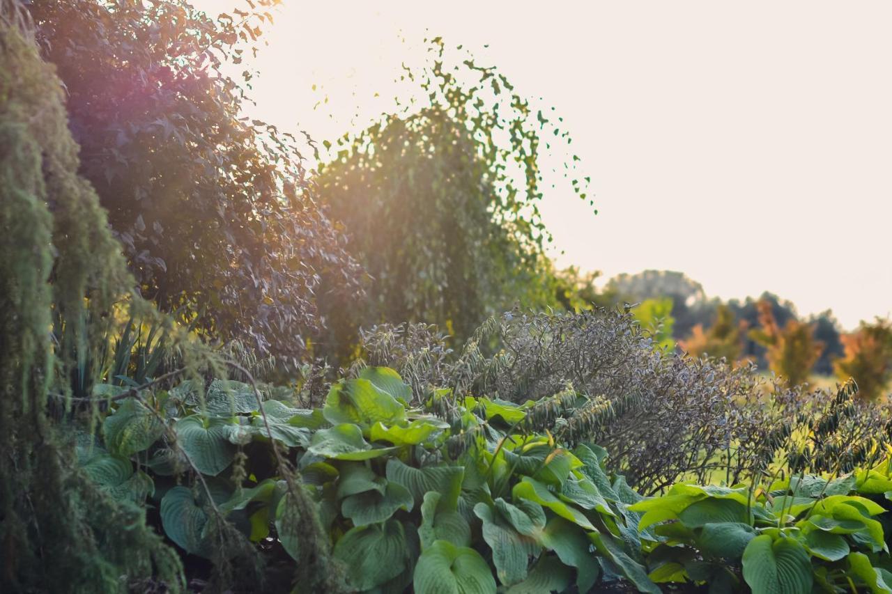 Eco Nieborow Otel Dış mekan fotoğraf